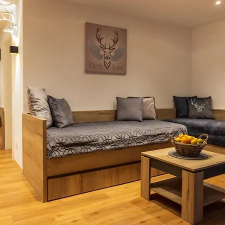 Aparthotel Mooshof 4*