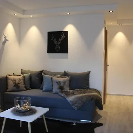 Aparthotel Mooshof 4*