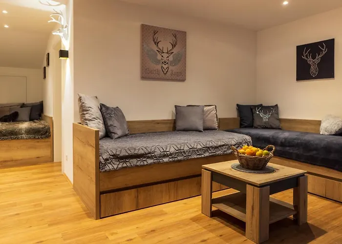 Apartahotel Mooshof 4*